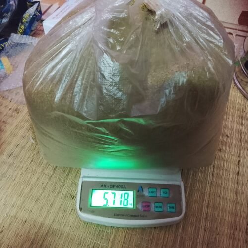 WhatsApp Image 2025-12-06 at 12.41.29 PM (1)