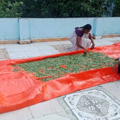 WhatsApp Image 2025-12-06 at 12.41.31 PM